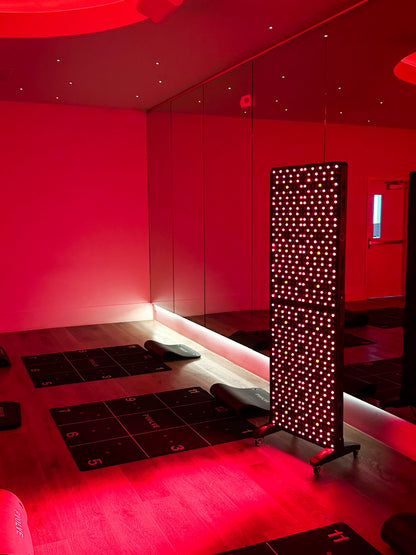 The Max Panel Full-Body Light Therapy Panel
