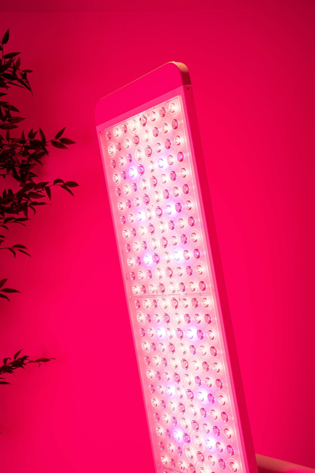 Renew Full-Body Red, Near-Infrared &amp; Blue Light Panel