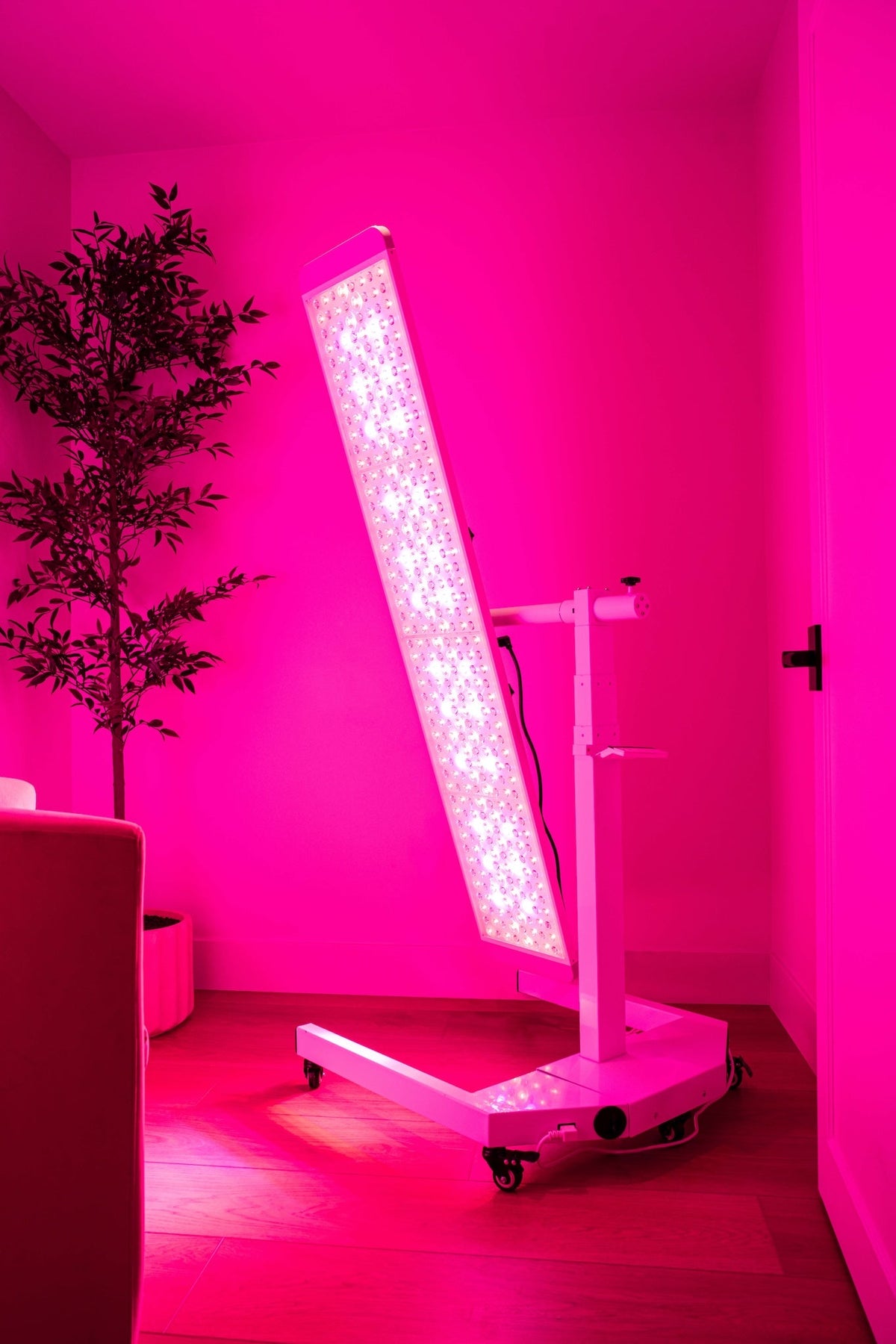Renew Full-Body Red, Near-Infrared &amp; Blue Light Panel