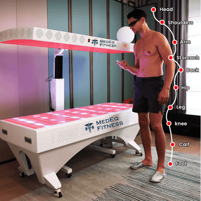 Professional 360° Multi-Spectrum Red Light Therapy System